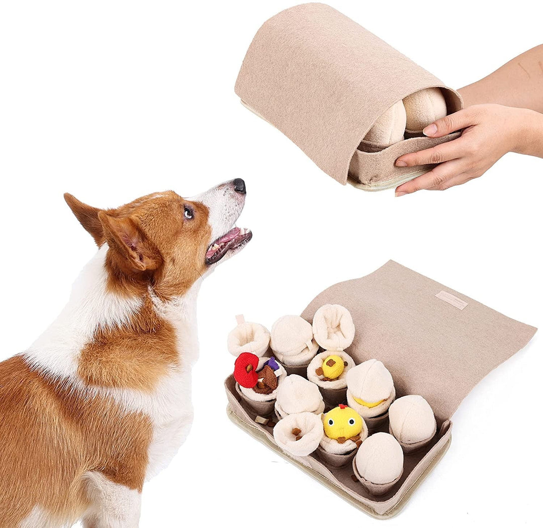 Interactive egg farm dog treat toy for mental stimulation and enrichment