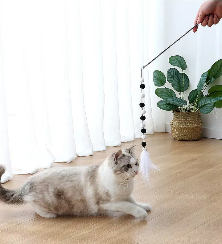 Long interactive fishing rod cat toy with a dangling pom-pom feather lure, designed for stimulating pet play.