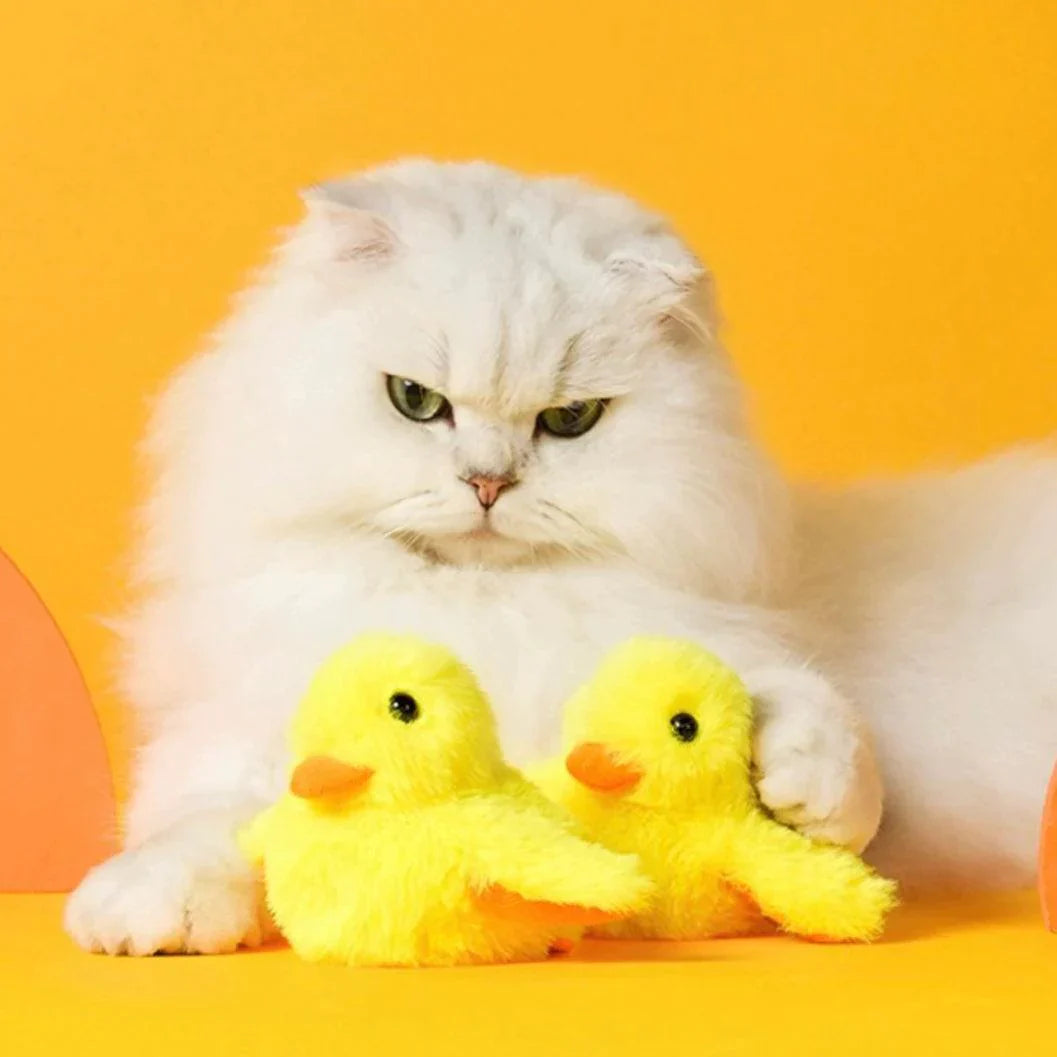 Interactive flapping duck cat toy, QuackMate, USB rechargeable for endless pet entertainment.