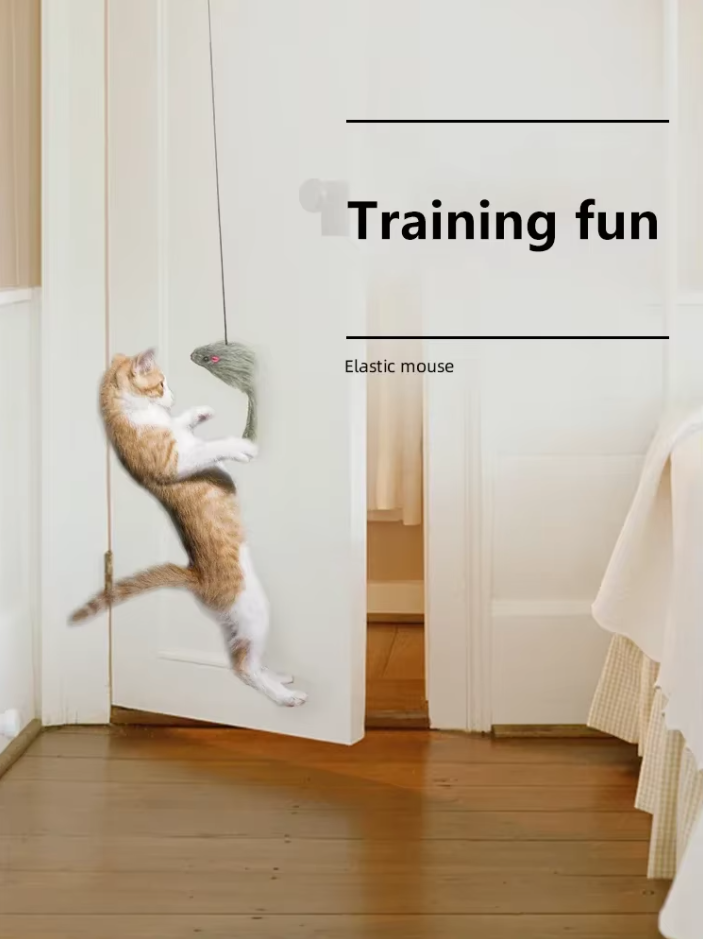 Active cat toy: jumping mouse attached to a door, encouraging hunting instincts & exercise.
