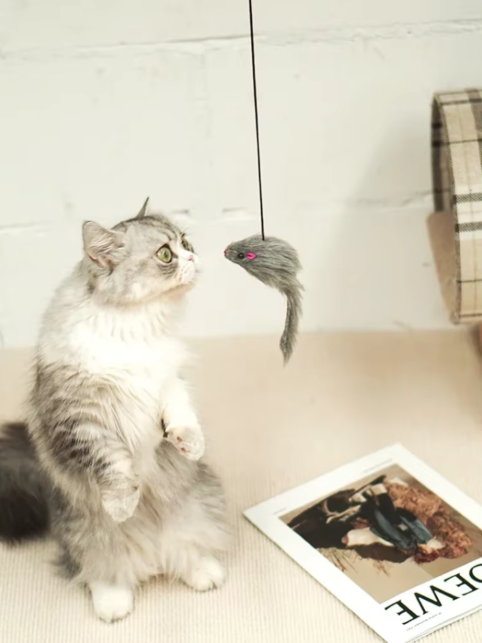 Feline interactive door toy featuring a springy jumping mouse for endless cat entertainment.