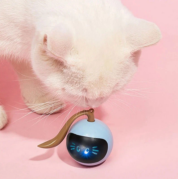 Interactive LED cat ball toy for engaging playtime & exercise, promoting pet health.