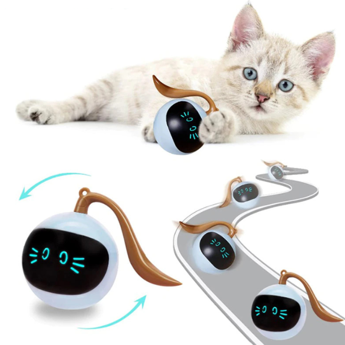 Healthy exercise with an interactive LED cat ball toy for active cats, stimulating play.