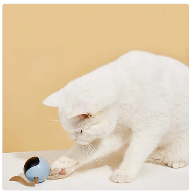 Cat chasing a glowing interactive LED ball toy, promoting active playtime and well-being.