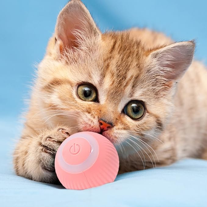 Interactive LED cat play ball for feline exercise. Rechargeable smart pet toy for indoor cats & kittens.
