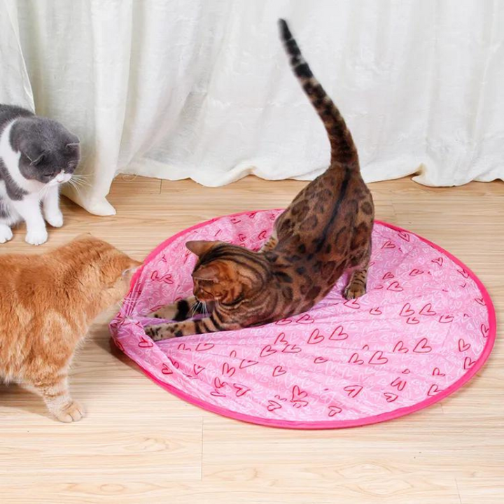 Interactive rolling cat toy designed for stimulating indoor feline play and enrichment.