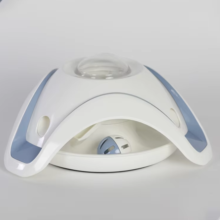 Pet's interactive slow feeder bowl, a fun mental stimulation toy and slow eating solution for dogs and cats.