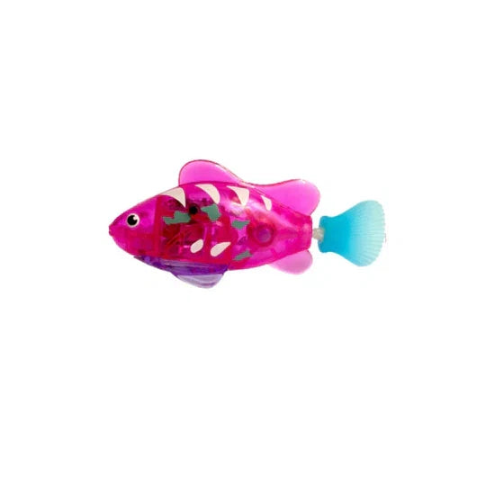 Pet entertainment: a swimming fish water toy for cats that love stimulating aquatic playtime.