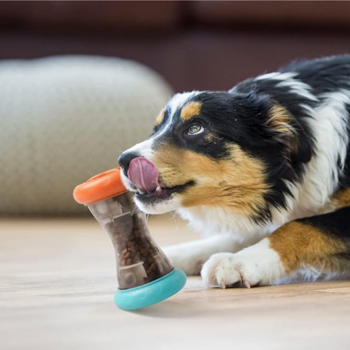 Interactive TreatRoller dog toy dispenses treats for mental stimulation and slow eating.