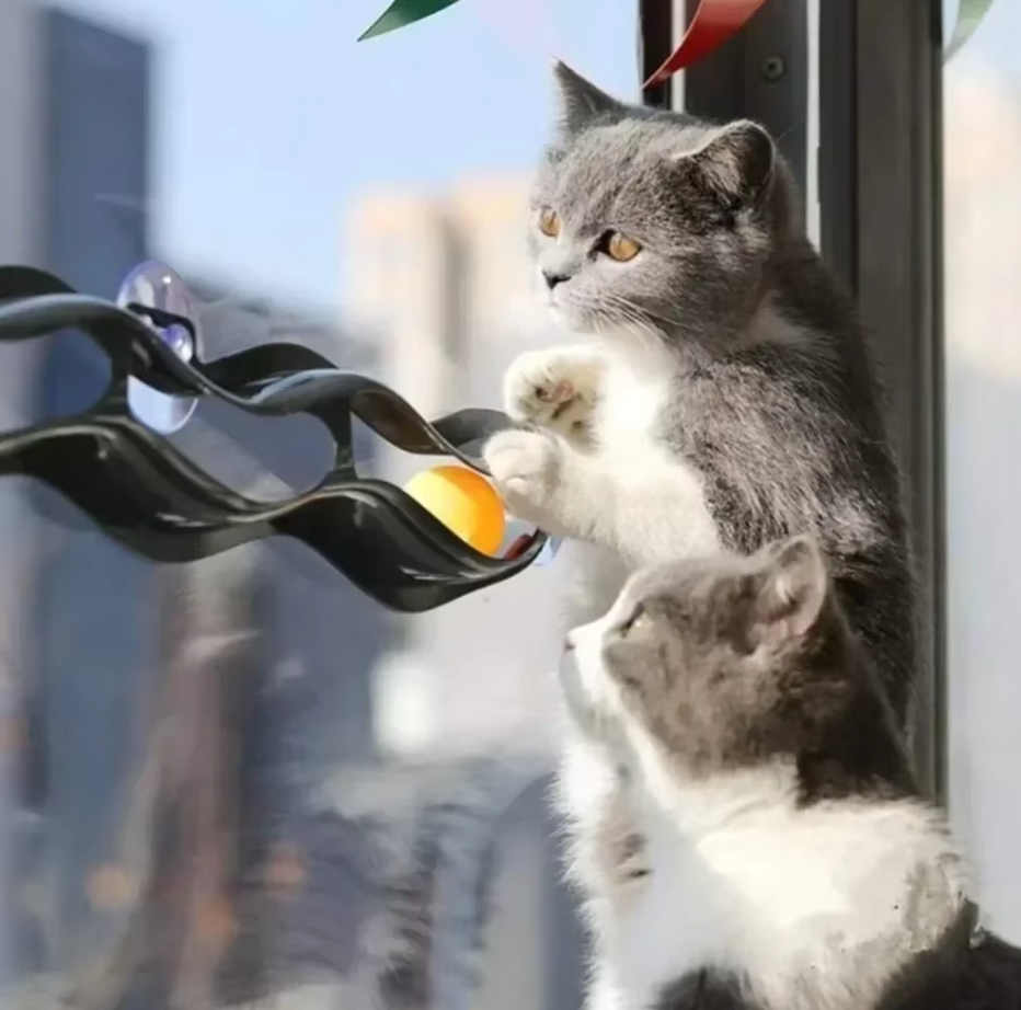 Indoor cat interactive window toy with a fun track and rolling balls for endless kitten & cat entertainment.