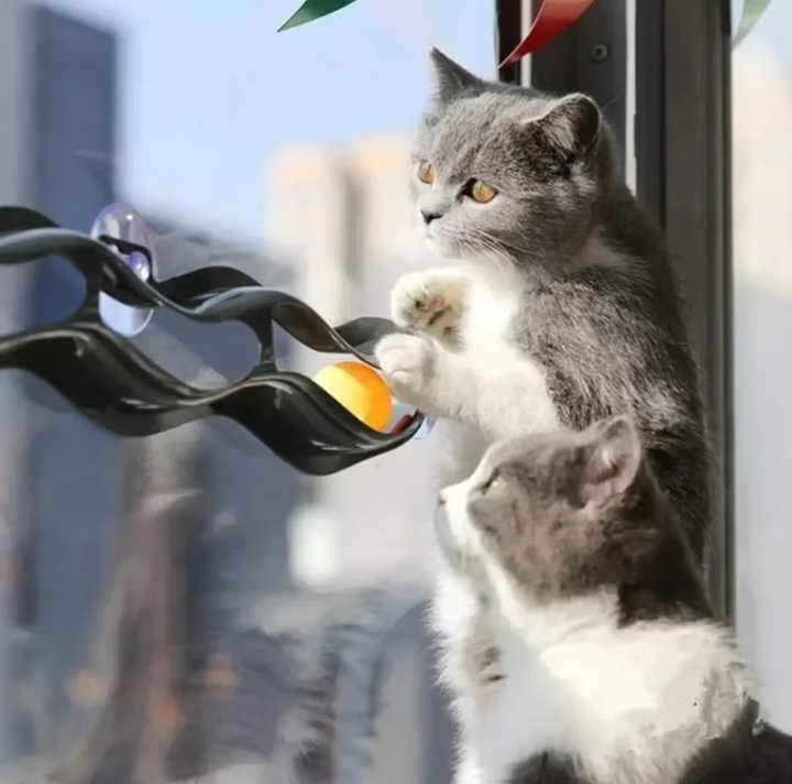 Indoor cat interactive window toy with a fun track and rolling balls for endless kitten & cat entertainment.