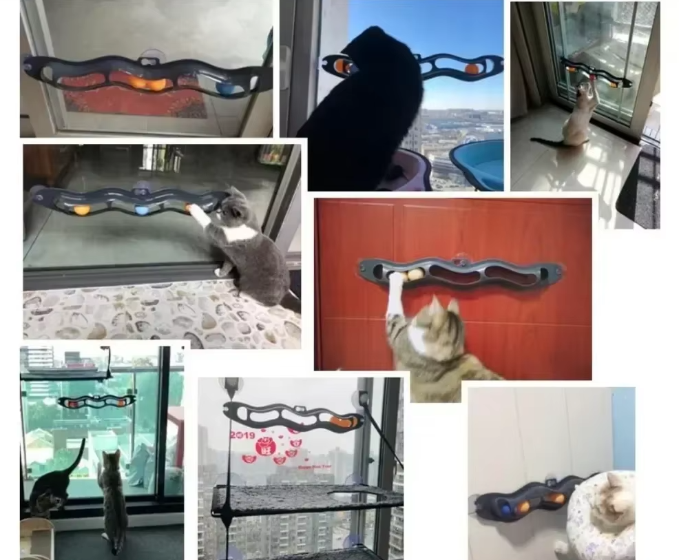 Stimulating window cat toy with track and movable balls, enhancing playtime for kittens and adult felines.