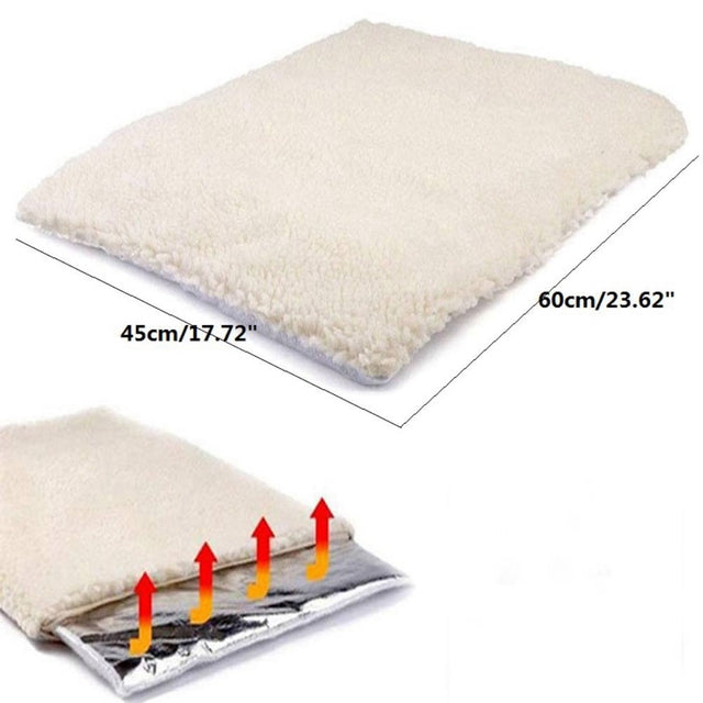 Cozy, washable pet bed designed for feline warmth and enhanced pet comfort, perfect for cats.