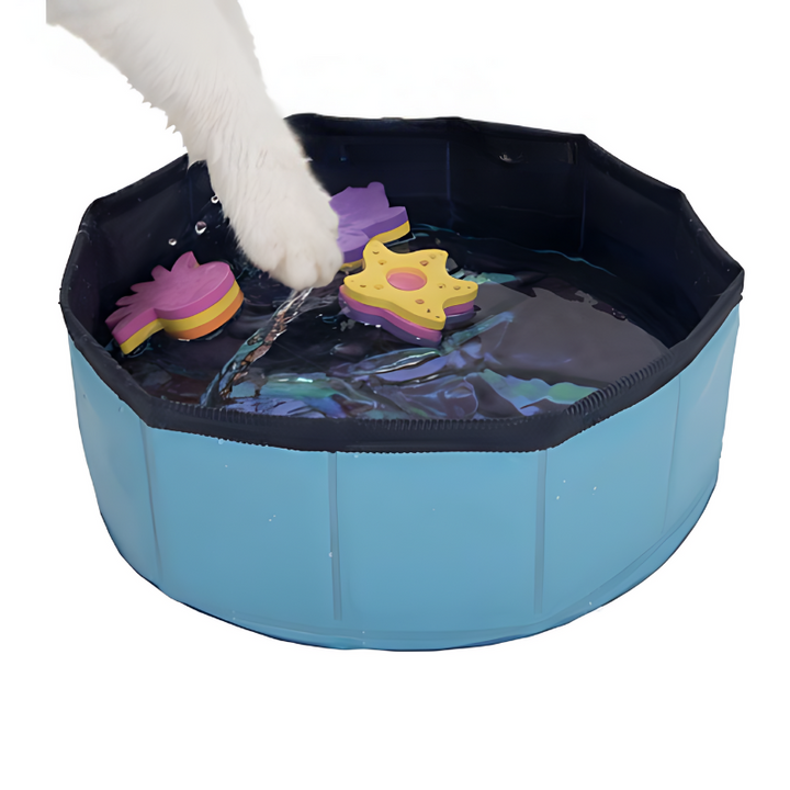KittySplash cat pool with floating toys for outdoor summer fun and cat entertainment.
