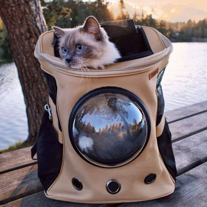 Large gray cat bubble travel backpack with clear window for safe pet adventures and easy viewing.