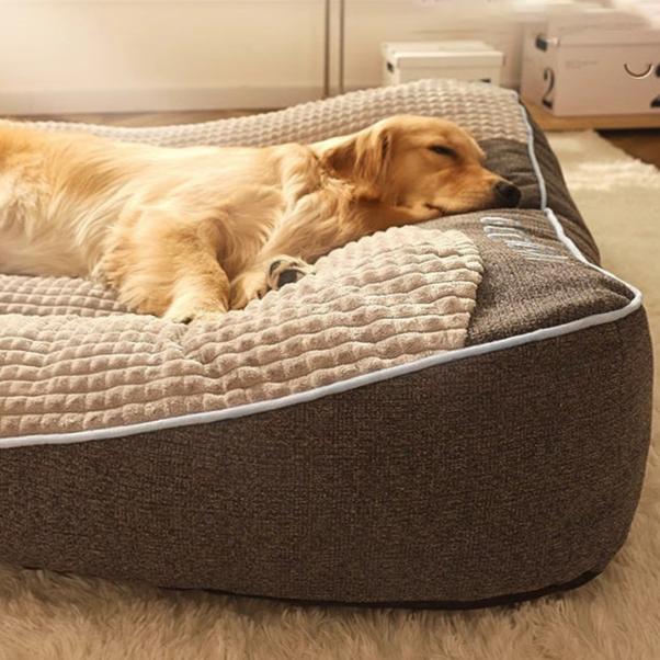 Pet supplies: Durable big dog bed for ultimate comfort and orthopaedic support, perfect for large breeds.