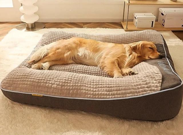 Luxurious large dog bed, providing superior orthopaedic support and deep comfort for big breed dogs.