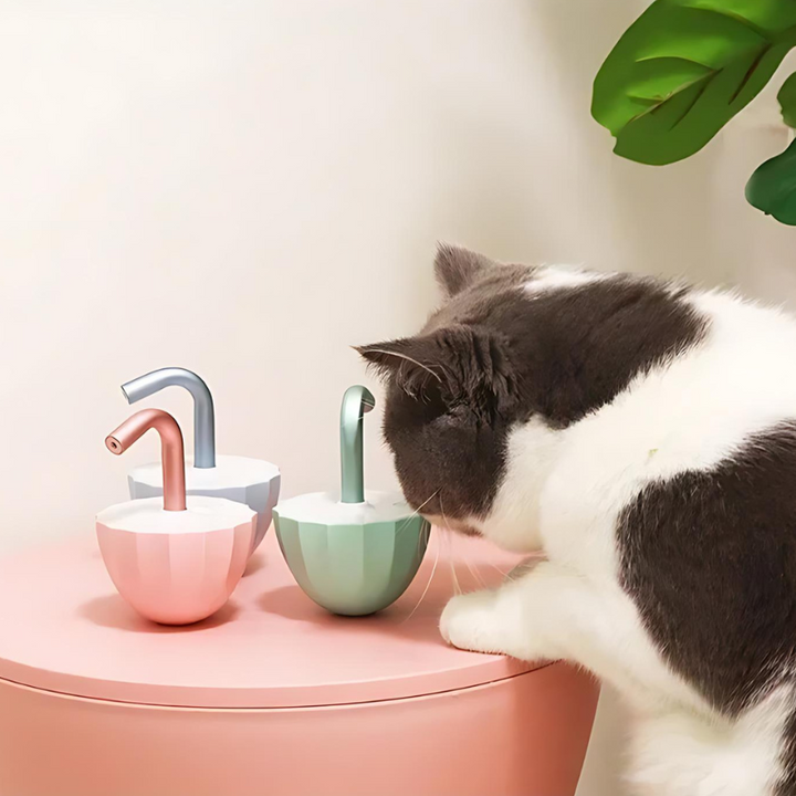 LaserChase interactive 360° cat toy for indoor cats, providing endless fun and exercise.