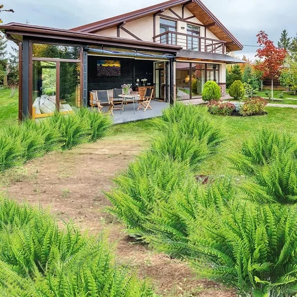 Artificial Boston fern for outdoor settings. Durable, UV resistant, and perfect for garden & patio.