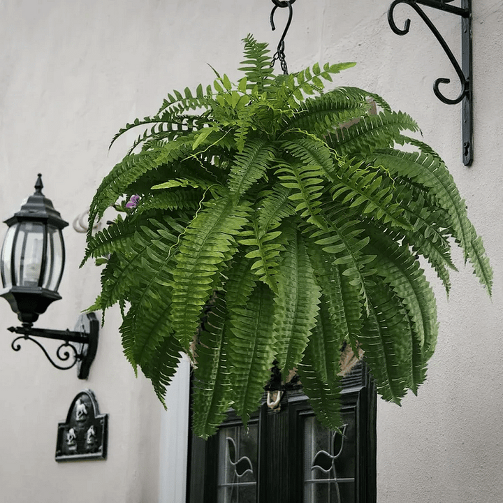 Outdoor artificial Boston fern, offering realistic, vibrant green foliage for year-round garden appeal.