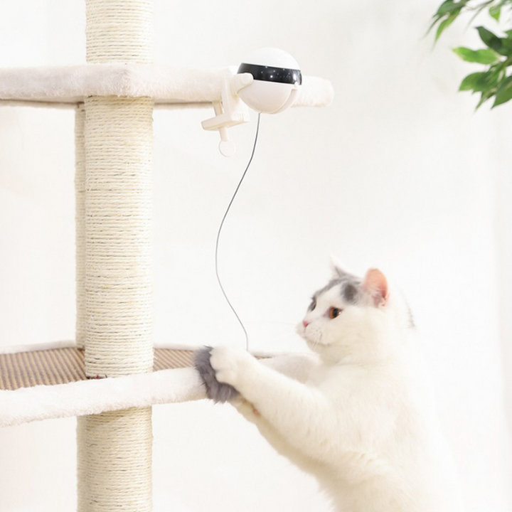 LiftPlay Interactive Automatic Cat Ball Toy