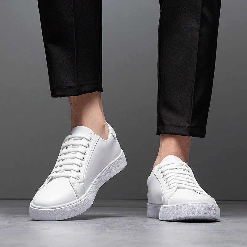 Everyday footwear: men's classic trainers with smart casual appeal