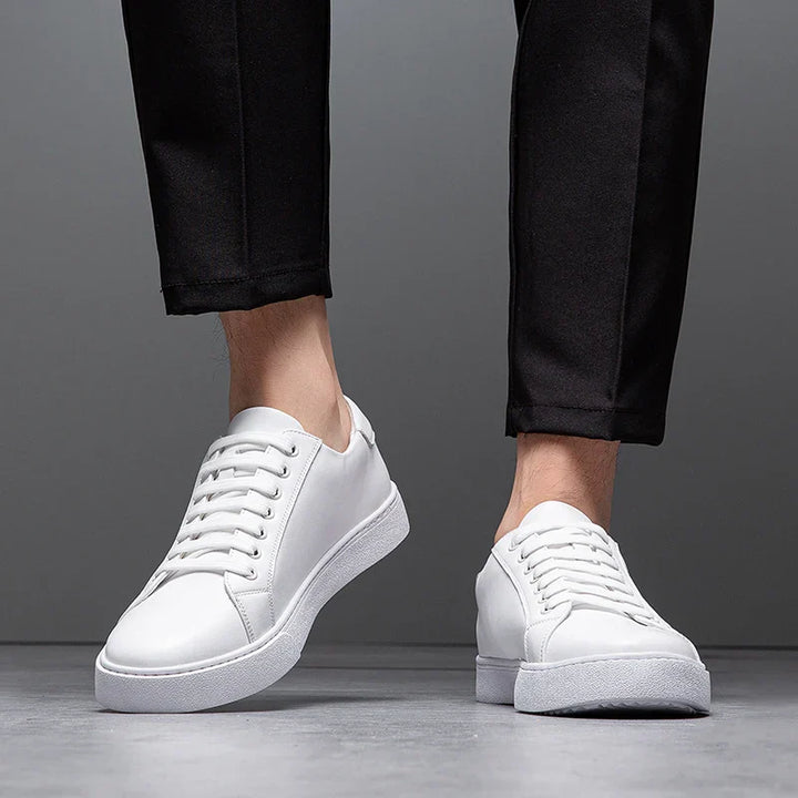 Everyday footwear: men's classic trainers with smart casual appeal