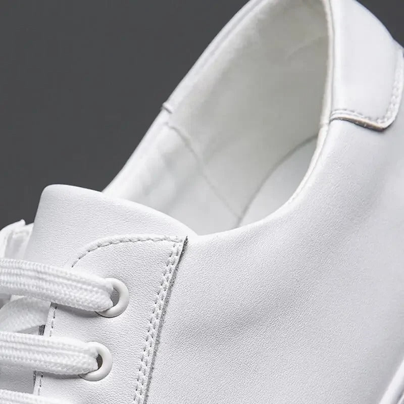 Comfortable men's smart casual sneakers, lace-up and stylish.