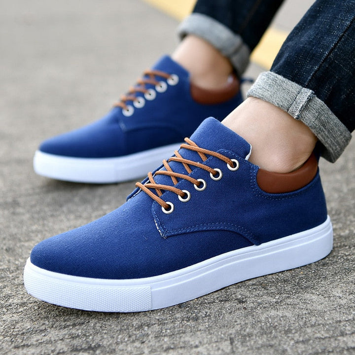 Men's low-top sneakers, classic lace-up design with a comfortable platform sole for everyday wear.