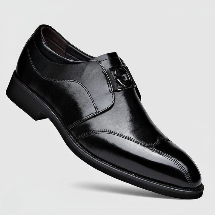 Classic brown men's monk strap dress shoes with a sophisticated pointed toe and buckle closure.