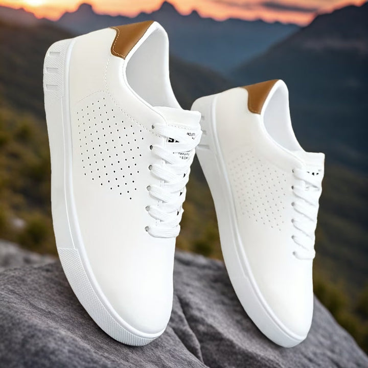 Comfortable men's low-top sneakers. Stylish & versatile footwear for daily casual wear.
