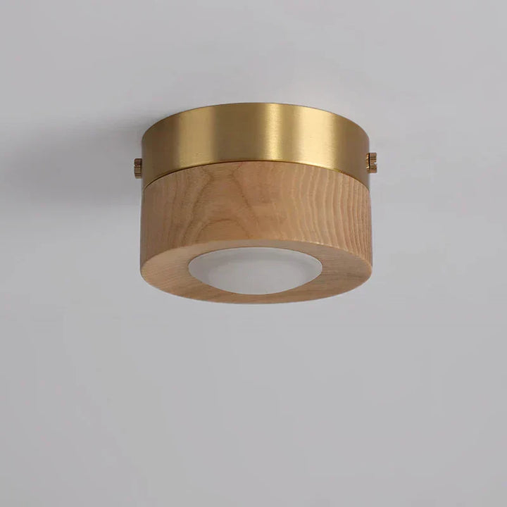 Stylish minimalist walnut wood LED light fixture, perfect for hallways and bedrooms