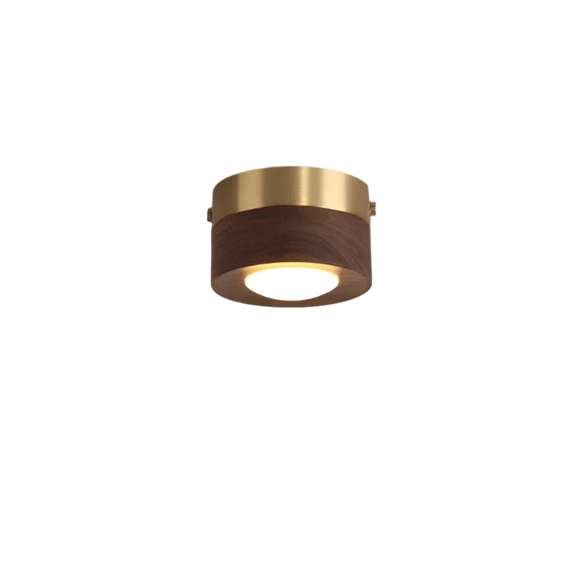 Warm ambient lighting from a minimalist round walnut LED ceiling light