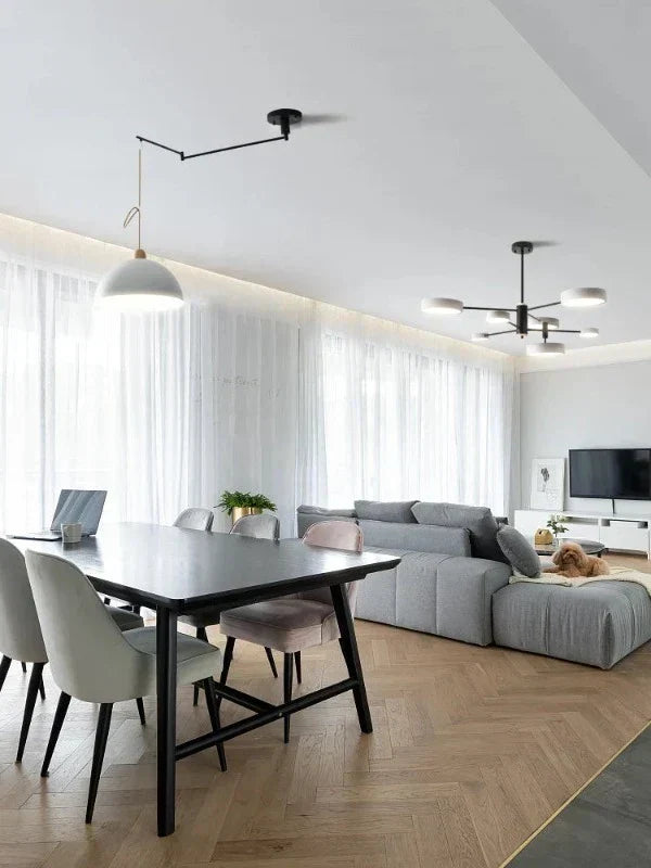 Modern Adjustable Ceiling Light for Flexible Illumination