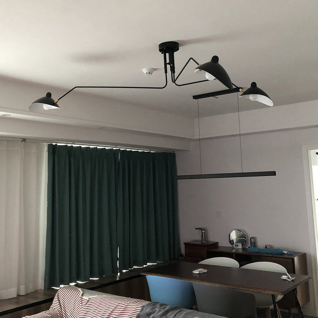 Contemporary black multi-arm adjustable ceiling light, stunning design.