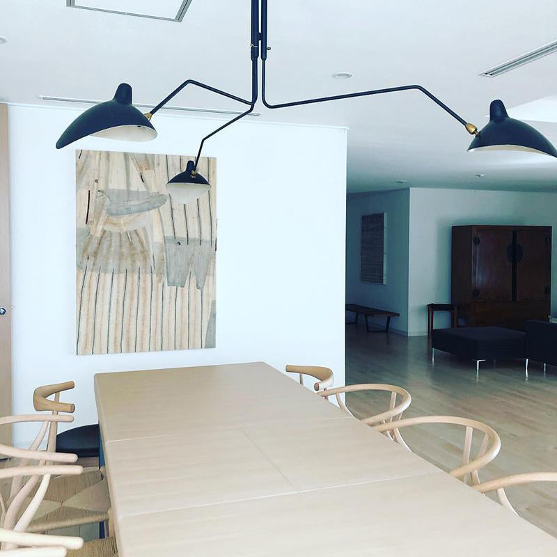Contemporary black multi-arm light, adjustable, a stylish home accent.