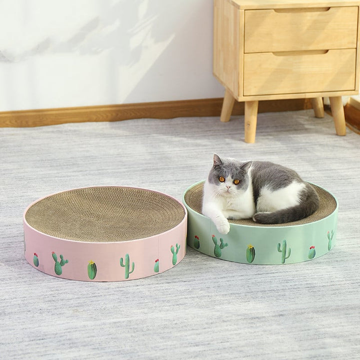 Modern cactus cat scratching board. Protects furniture, durable feline care accessory.