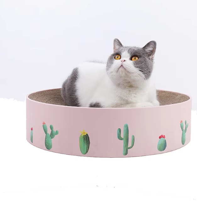 Durable modern cactus cat scratching board. Essential furniture protection for active cats.