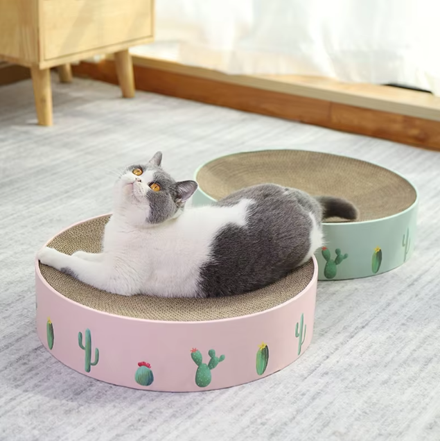 Chic cactus design cat scratcher. A modern pet accessory promoting feline care & furniture safety.