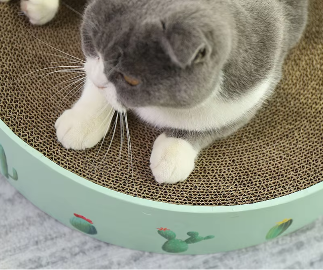 Green cactus cat scratcher. Modern & durable pet supply, ideal for feline care & furniture protection.