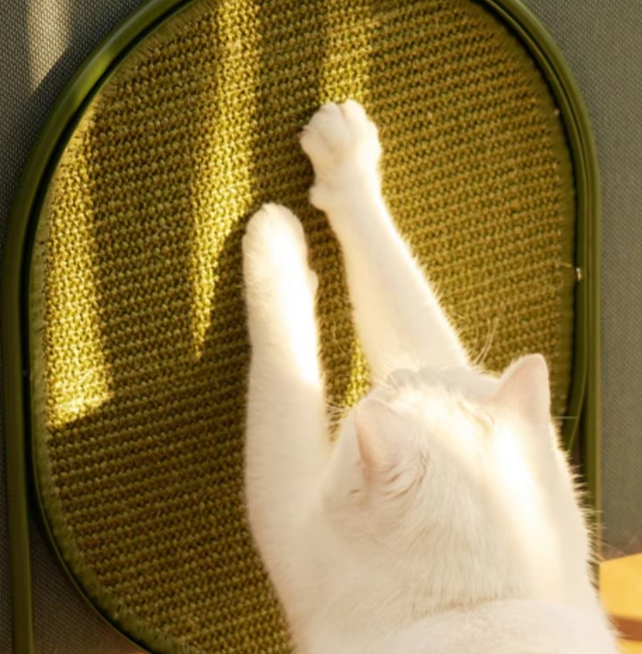 Modern cat scratching post & play toy. Durable feline entertainment for healthy claws & home decor.
