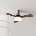 Nickel colour & walnut colour