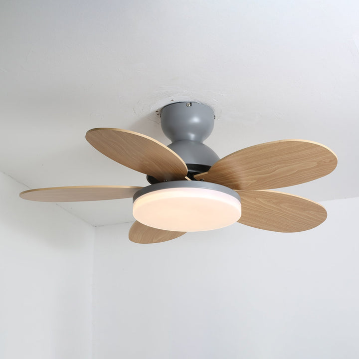 Warm LED light ceiling fan, modern design, suitable for living room or bedroom.