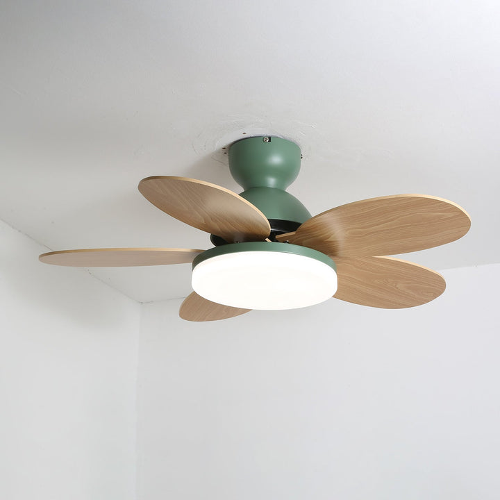 Indoor modern fan with warm LED light and stylish wooden blade accents.