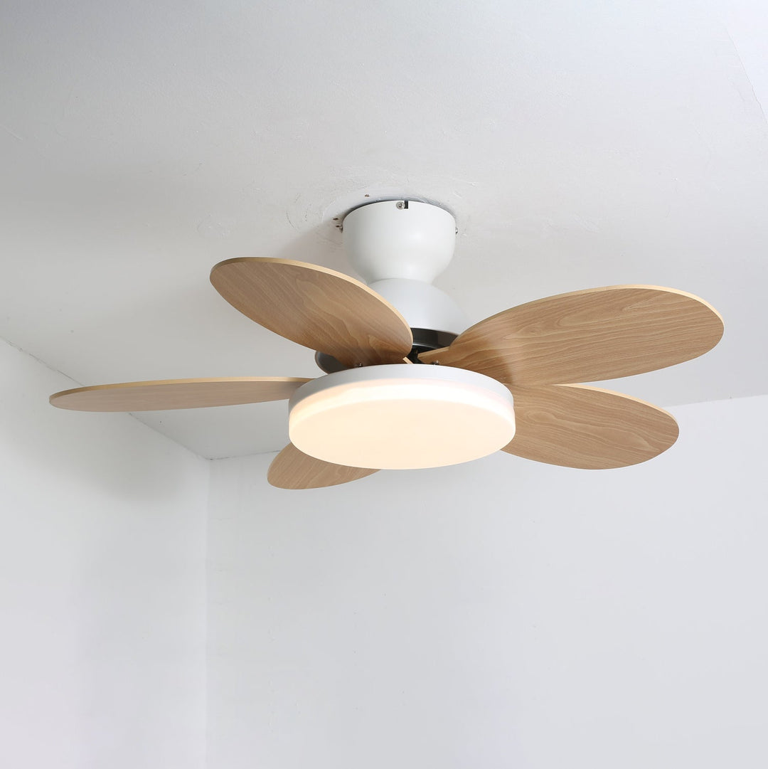 Bedroom ceiling fan with modern aesthetic, warm LED light, and quiet motor.