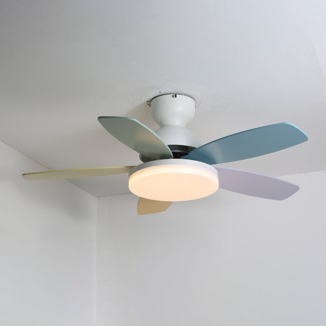 Contemporary home lighting: Ceiling fan with warm LED light and sleek design.