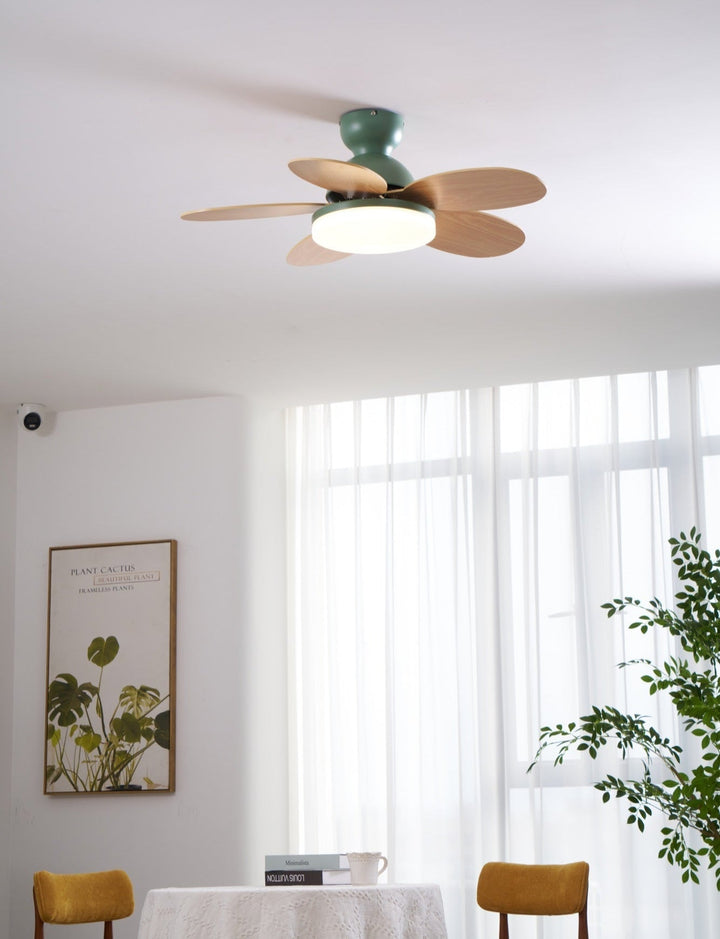 Stylish modern fan with warm LED light, suitable for diverse interior styles.