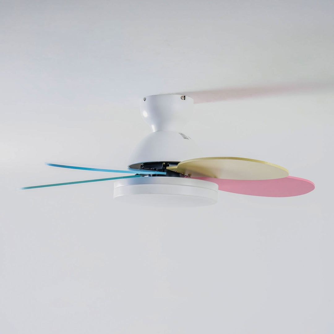 Home lighting: Modern ceiling fan with warm LED light & wooden blades.