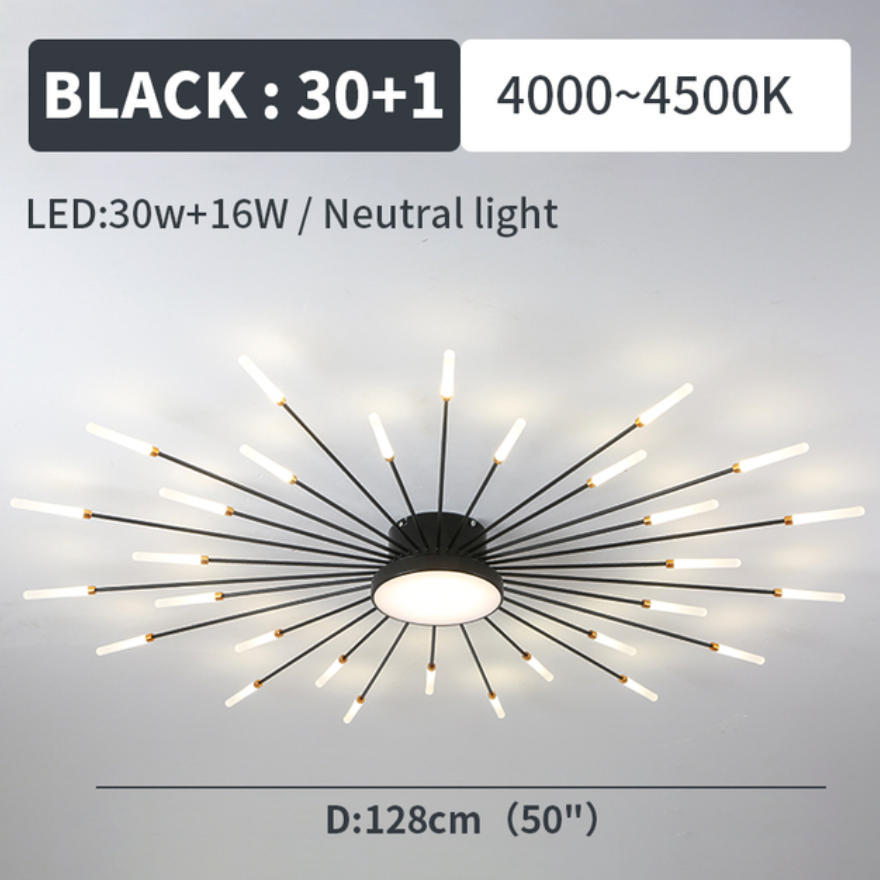 Indoor firework LED ceiling lamp, dimmable, a modern touch for home lighting decor.