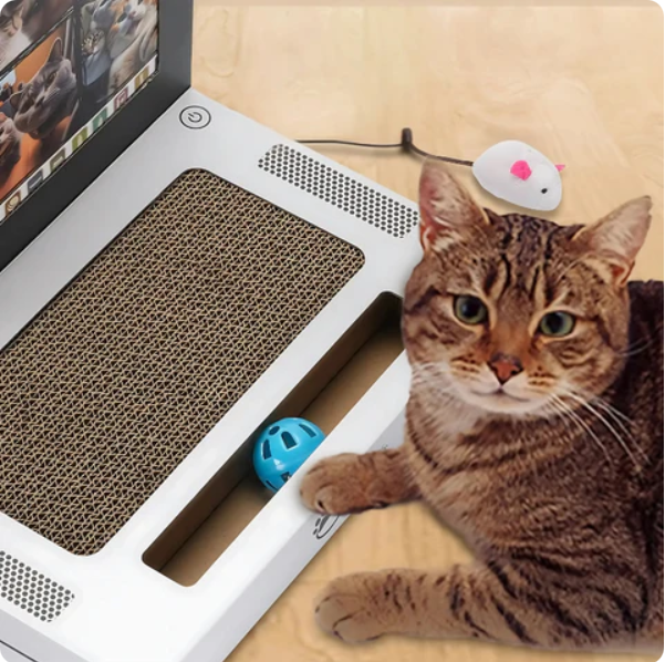 Realistic interactive cat scratcher laptop toy for cats and kittens to play, scratch, and care for claws.